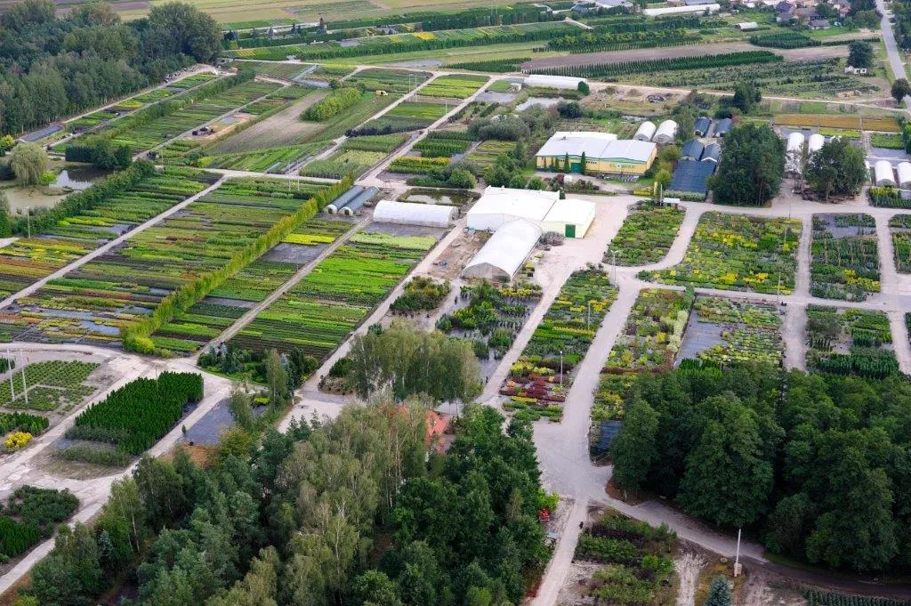 Rostlinná školka