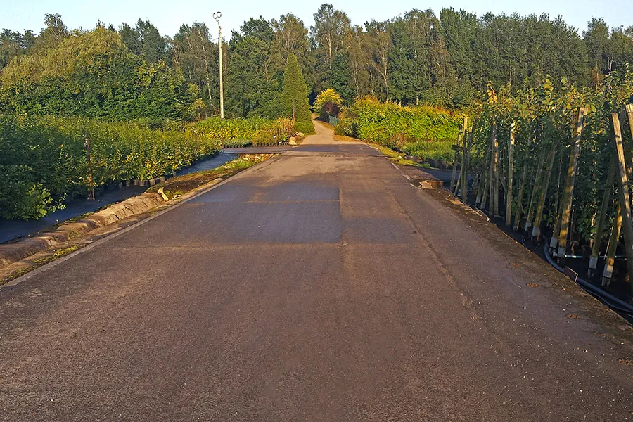 Prodejní náměstí